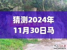 揭秘未來，馬山縣石豐村2024年11月30日最新動態(tài)展望指南