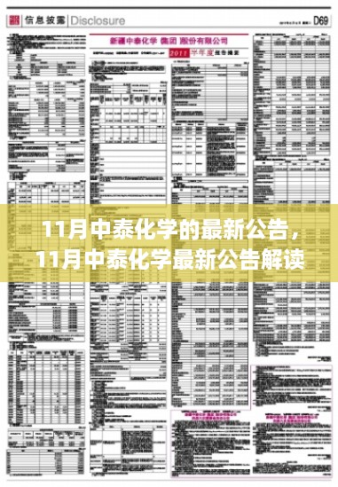 11月中泰化學最新公告詳解與執(zhí)行指南，初學者與進階用戶必讀