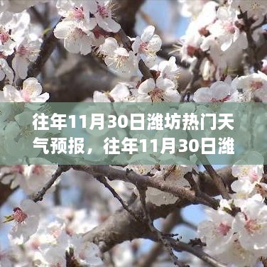 濰坊往年11月30日天氣預(yù)報(bào)回顧與旅行建議，氣象分析與建議