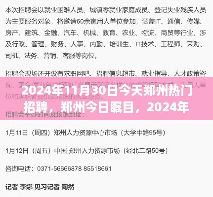 鄭州今日矚目，回顧2024年11月30日熱門(mén)招聘盛況