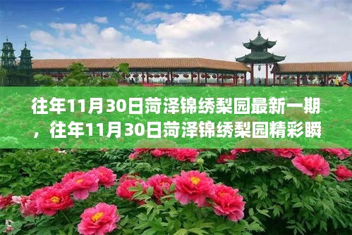 菏澤錦繡梨園，傳統(tǒng)戲曲魅力之旅的精彩瞬間探索