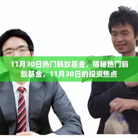 揭秘?zé)衢T螞蟻基金，11月30日的投資焦點分析