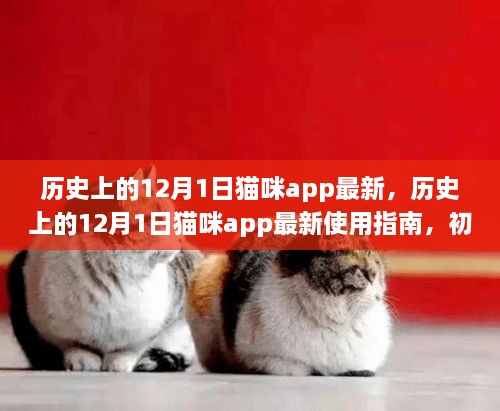 歷史上的12月1日貓咪app最新，歷史上的12月1日貓咪app最新使用指南，初學(xué)者與進階用戶的全面教程