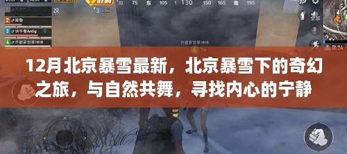 北京暴雪下的奇幻之旅，與自然共舞，探尋內(nèi)心寧?kù)o的旅程