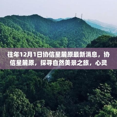 協(xié)信星麓原最新消息，探尋自然美景之旅的心靈港灣