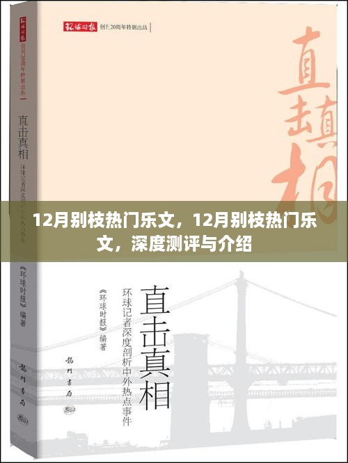 深度測評與介紹，12月別枝熱門樂文