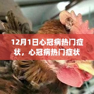 心冠病熱門癥狀深度解析，背景、事件與影響（最新更新）