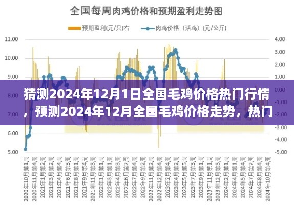 2024年12月全國毛雞價格行情預測與深度解析