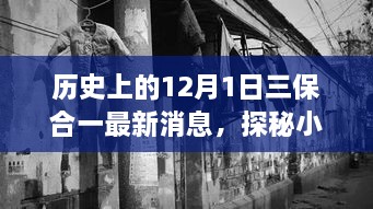 歷史上的12月1日三保合一揭秘，最新消息與小巷深處的獨(dú)特風(fēng)味