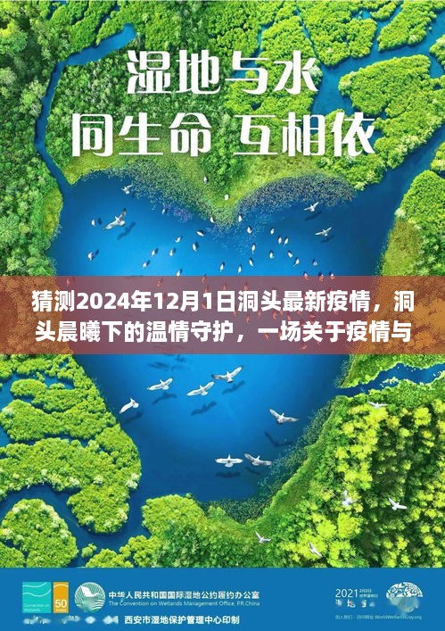 洞頭晨曦下的溫情守護，疫情與友情的日常故事預測至2024年12月1日