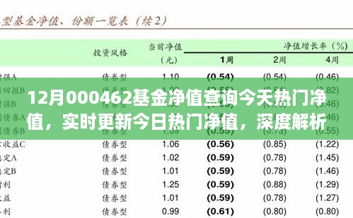 12月000462基金凈值查詢今天熱門凈值，實(shí)時(shí)更新今日熱門凈值，深度解析12月000462基金凈值查詢