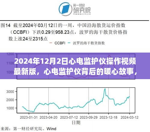 花開無(wú)言 第30頁(yè)