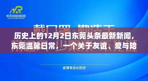 東莞頭條新聞，友誼與愛在冬日綻放——十二月二日的溫馨日常故事