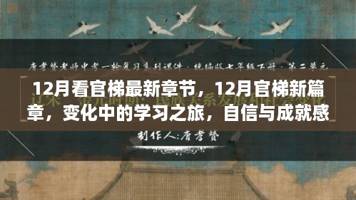 12月官梯新篇章，學(xué)習(xí)之旅的變化與自信成就之源