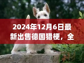 最新德國(guó)獵梗犬全面評(píng)測(cè)與出售信息，特性、競(jìng)品對(duì)比及目標(biāo)用戶(hù)分析（2024年最新版）