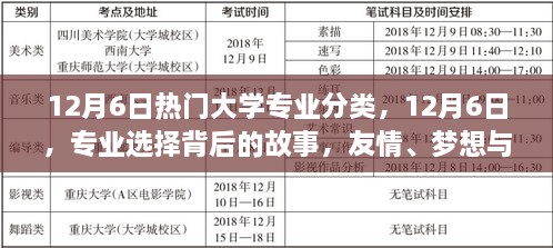 專業(yè)背后的故事，友情、夢想與家的紐帶——12月6日熱門大學(xué)專業(yè)分類探索