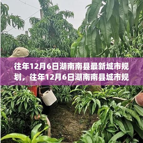 湖南南縣往年城市規(guī)劃揭秘，洞悉最新藍(lán)圖與發(fā)展趨勢