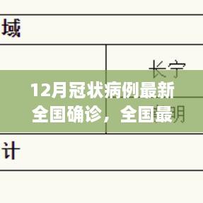 全國最新冠狀病例確診流程詳解，12月冠狀病例確診操作指南