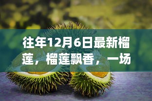 榴蓮飄香之旅，遠離塵囂，探尋內(nèi)心平靜的榴蓮之旅體驗