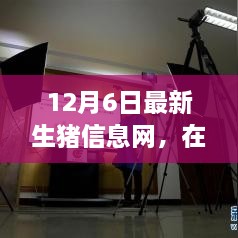 云端豬事，最新生豬信息小記（12月6日）