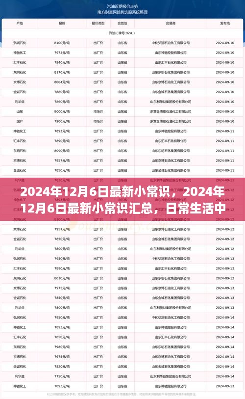 2024年12月6日最新小常識(shí)一覽，日常生活中的新奇知識(shí)匯總