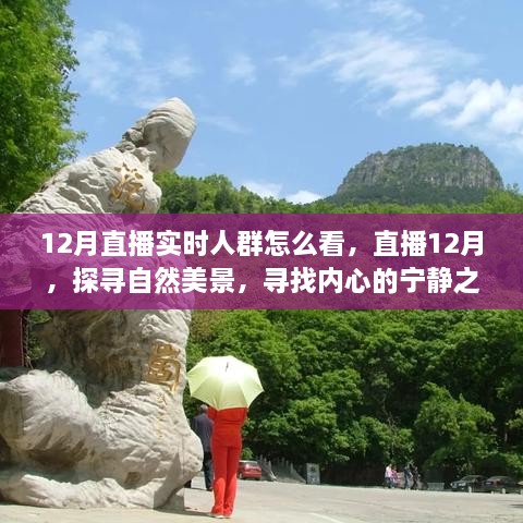 12月直播探尋自然美景，探尋內(nèi)心寧靜之旅的實(shí)時(shí)觀眾洞察