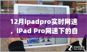 iPad Pro網(wǎng)速下的自然探索，實時體驗與心靈之旅