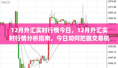 12月外匯實時行情解析，把握今日交易機遇的指南