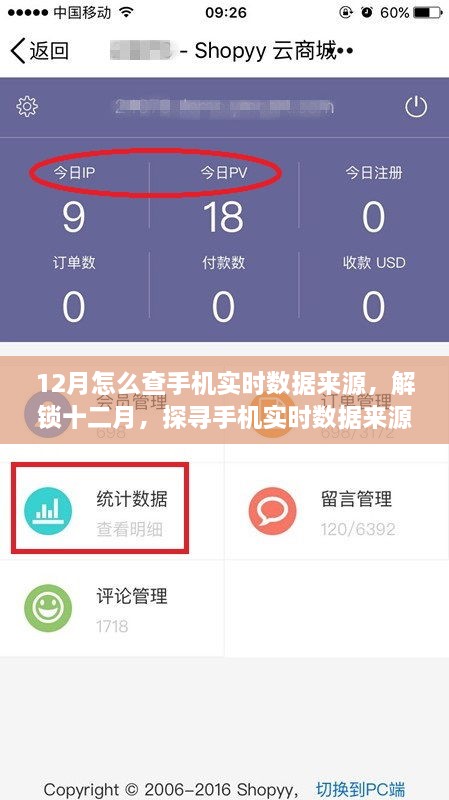 探尋手機實時數(shù)據(jù)來源的奧秘，十二月開啟自信與成就之旅的指南