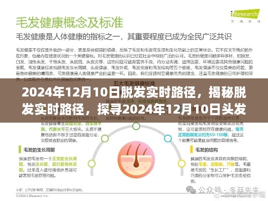 揭秘脫發(fā)實時路徑，探尋頭發(fā)健康之旅在2024年12月10日的進(jìn)展與啟示