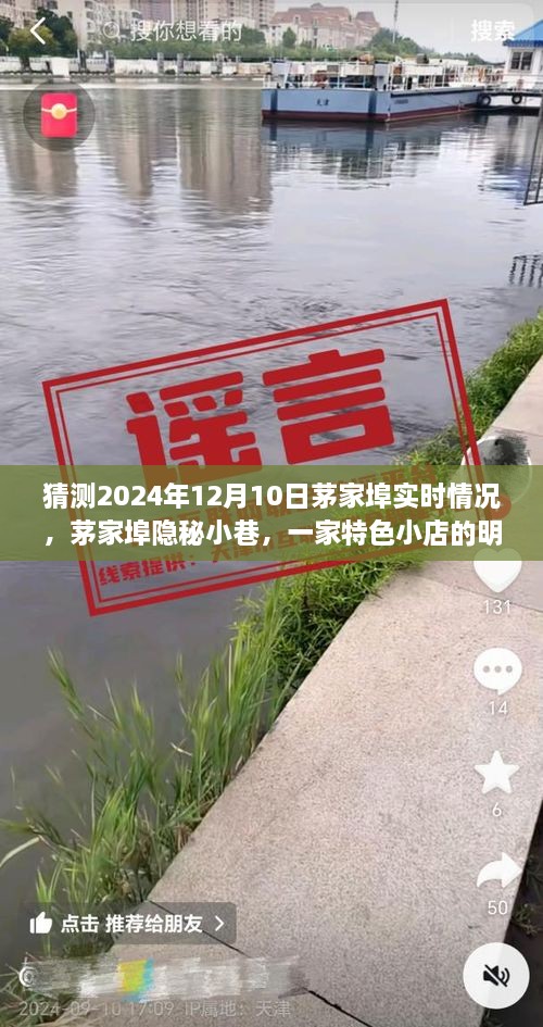 茅家埠隱秘小巷特色小店，明日探秘之旅揭秘2024年12月10日實(shí)時情況