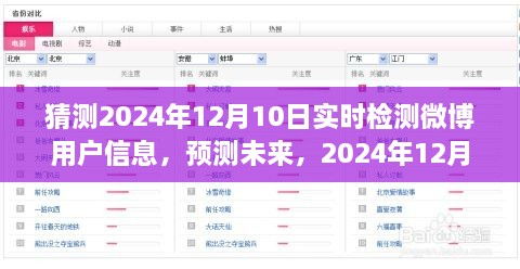 2024年12月10日微博用戶信息實時檢測探析，預測未來的深度洞察
