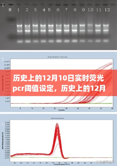 歷史上的12月10日，實時熒光PCR閾值設定的探索之旅