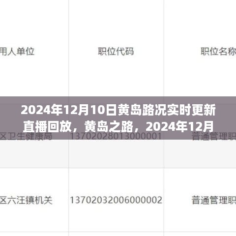 2024年12月10日黃島路況實(shí)錄與深度解讀，實(shí)時(shí)更新直播回放