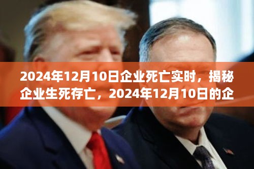 揭秘企業(yè)生死存亡，企業(yè)死亡實(shí)時(shí)真相揭秘（2024年12月10日）