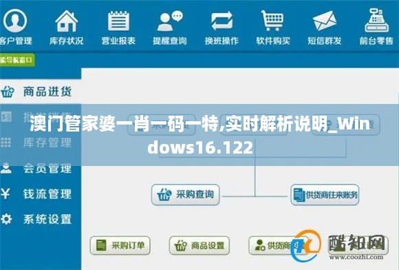 澳門管家婆一肖一碼一特,實時解析說明_Windows16.122