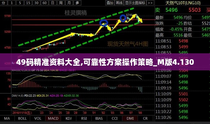 49碼精準(zhǔn)資料大全,可靠性方案操作策略_M版4.130