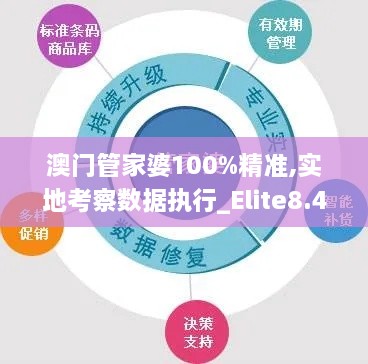 澳門(mén)管家婆100%精準(zhǔn),實(shí)地考察數(shù)據(jù)執(zhí)行_Elite8.438