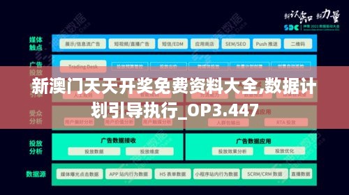 新澳門天天開獎免費資料大全,數據計劃引導執(zhí)行_OP3.447