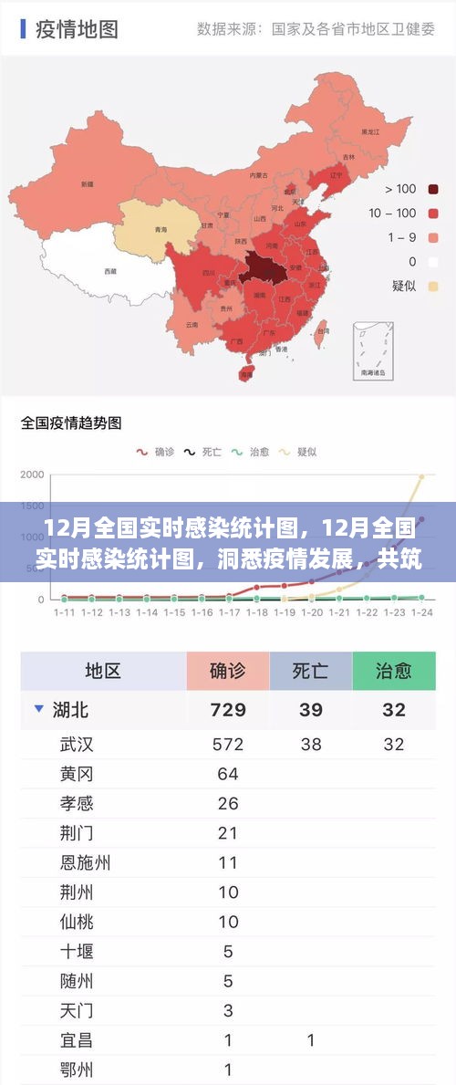 12月全國實(shí)時感染統(tǒng)計圖，洞悉疫情，共筑防控新防線