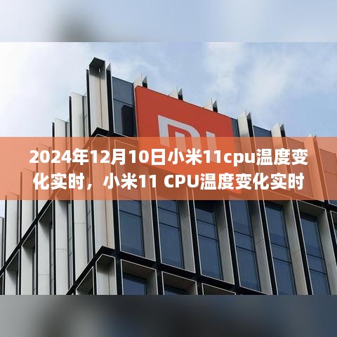 小米11 CPU溫度變化實(shí)時分析，聚焦2024年12月10日的觀察與探討