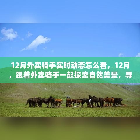 跟著外賣騎手探索自然美景，12月實時動態(tài)與心靈之旅