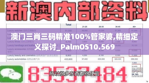 澳門三肖三碼精準100%管家婆,精細定義探討_PalmOS10.569