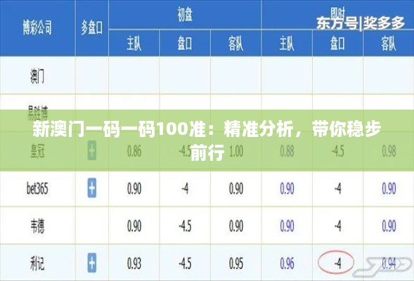 新澳門一碼一碼100準(zhǔn)：精準(zhǔn)分析，帶你穩(wěn)步前行