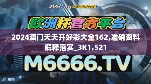 2024澳門天天開好彩大全162,準確資料解釋落實_3K1.521