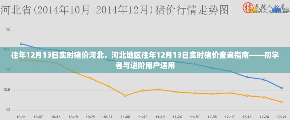 河北地區(qū)歷年12月13日實(shí)時(shí)豬價(jià)查詢指南，初學(xué)者與進(jìn)階用戶必備參考