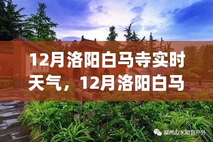 從獨(dú)特視角看12月洛陽(yáng)白馬寺實(shí)時(shí)天氣與深度分析