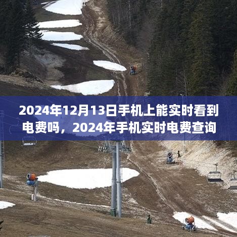 2024年手機實時電費查詢，便捷生活一觸即發(fā)