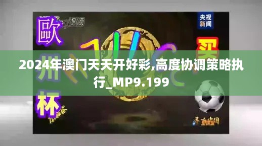 2024年澳門天天開好彩,高度協(xié)調(diào)策略執(zhí)行_MP9.199