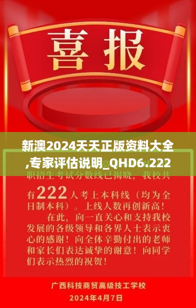 新澳2024天天正版資料大全,專家評(píng)估說明_QHD6.222